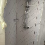 Toilet/Shower Block shower head